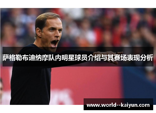 萨格勒布迪纳摩队内明星球员介绍与其赛场表现分析 萨格勒布迪纳摩队内明星球员介绍与其赛场表现分析