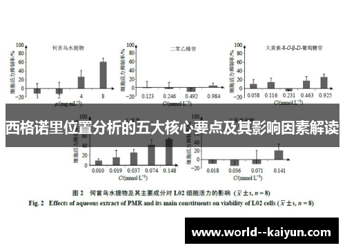 西格诺里位置分析的五大核心要点及其影响因素解读 西格诺里位置分析的五大核心要点及其影响因素解读