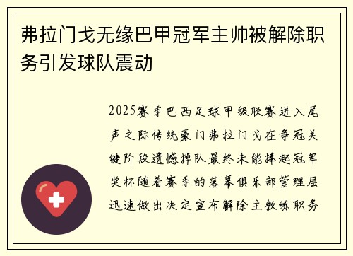 弗拉门戈无缘巴甲冠军主帅被解除职务引发球队震动